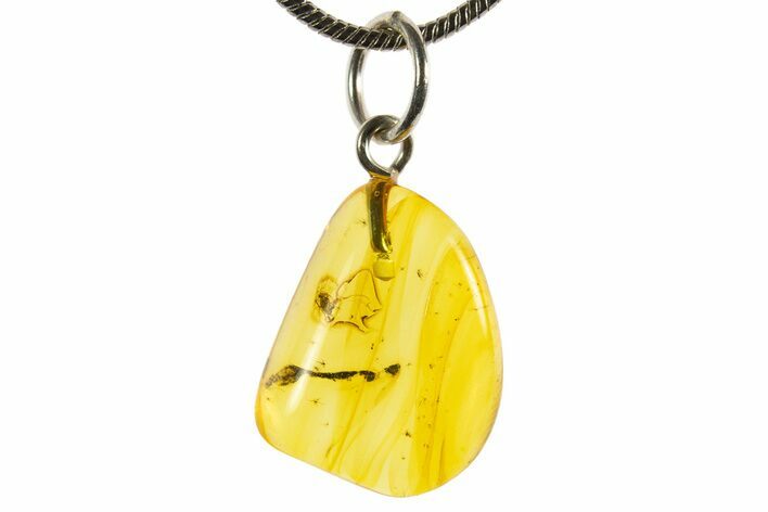 Polished Baltic Amber Pendant (Necklace) - Contains Fly! #339568